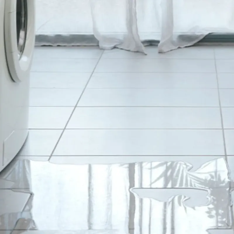 Appliance Leak Cleanup in Grant County, WV