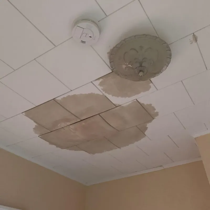 Ceiling Water Damage Repair in Grant County, WV