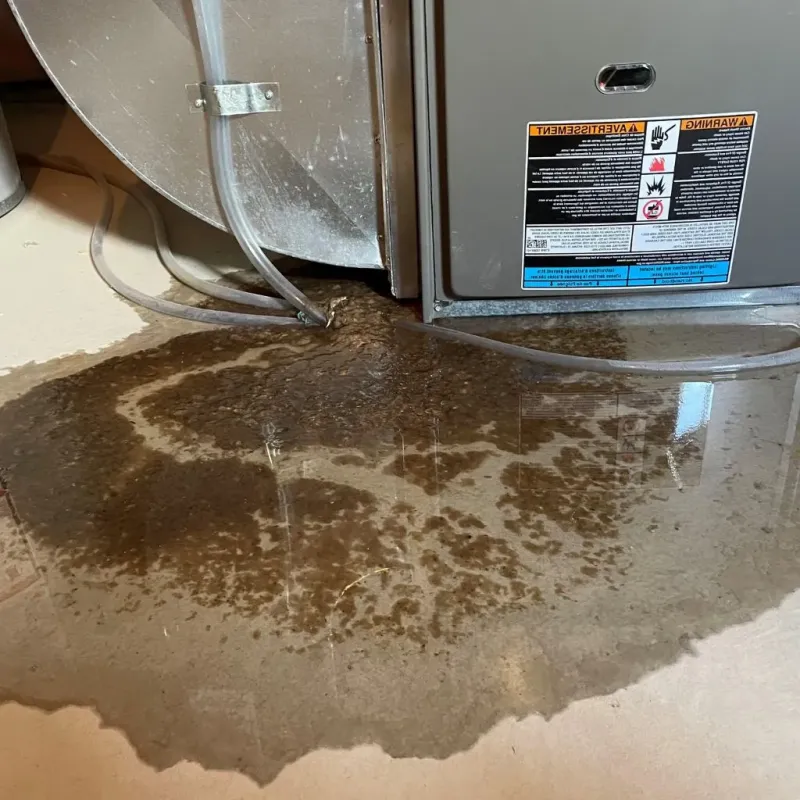 Pipe Burst and Leak Restoration in Grant County, WV