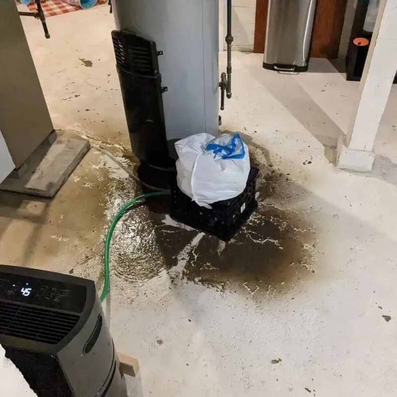 Sewage Backup Cleanup Service in Grant County, WV
